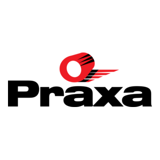 Praxa Logo PNG Vector