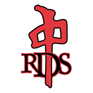 RDS Logo PNG Vector