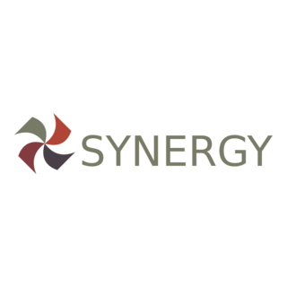 Synergy Financial Group Logo PNG Vector