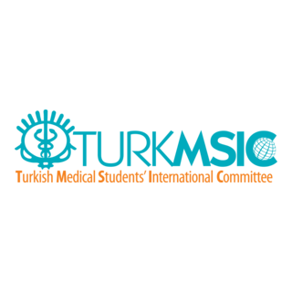 TurkMSIC Logo PNG Vector