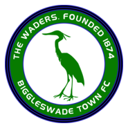 Biggleswade Town FC Logo PNG Vector