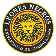 Leones Negros Logo PNG Vector