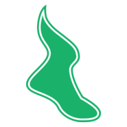 MONTREAL SHAMROCKS 1899 Logo PNG Vector