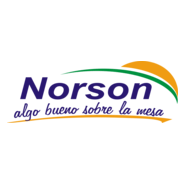 Norson Logo PNG Vector