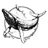 Sea Shepherd Conservation Society Logo PNG Vector