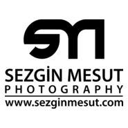 Sezgin Mesut Logo PNG Vector