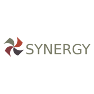 Synergy Financial Group Logo PNG Vector