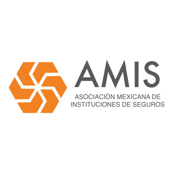 Amis Logo PNG Vector