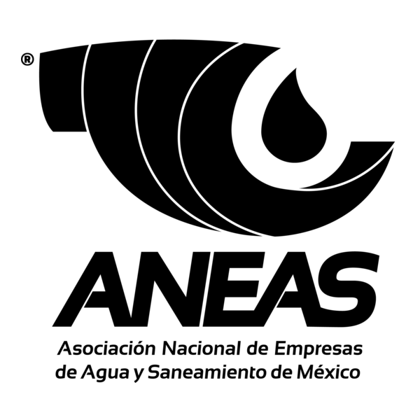 Aneas Logo PNG Vector