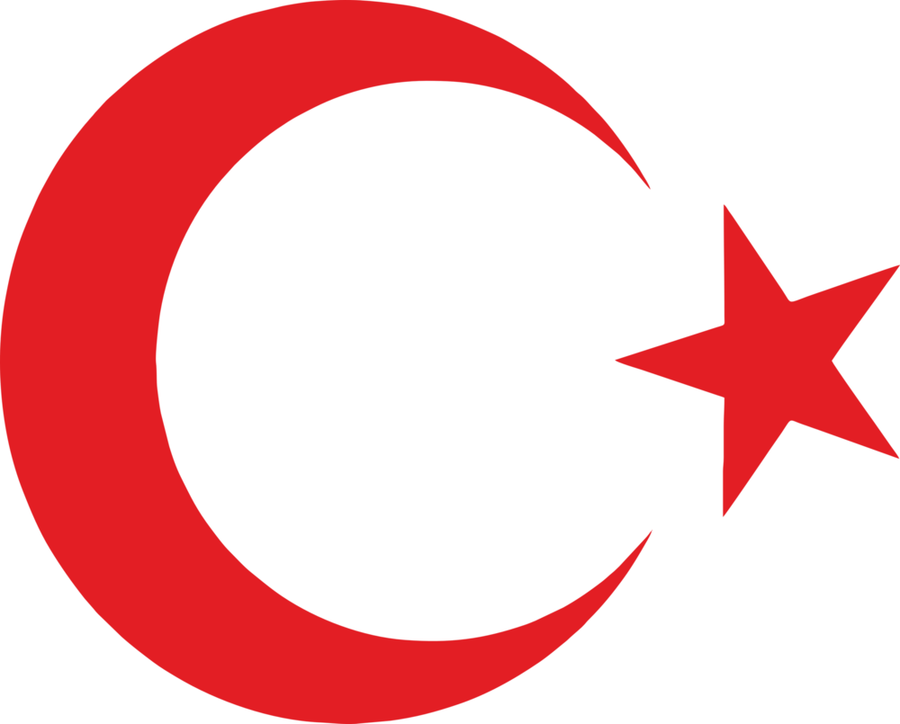 Ayyıldız Bayrak Logo PNG Vector