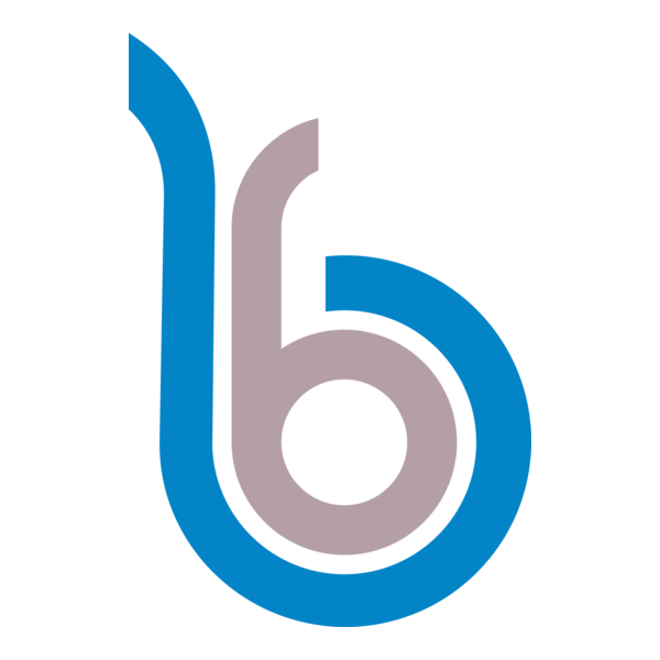 Bayburt Grup Özel İdare Gençlik Spor Logo PNG Vector