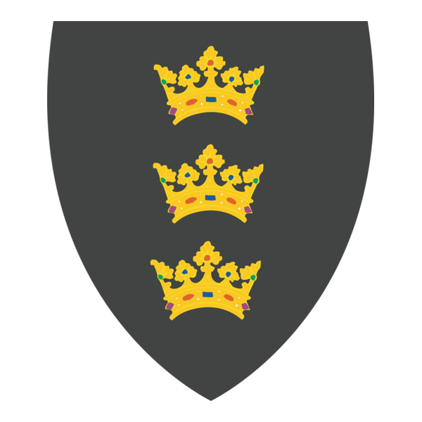 BRISTOL CITY COAT OF ARMS Logo PNG Vector