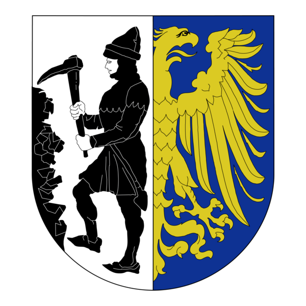 CITY OF BYTOM EMBLEM Logo PNG Vector