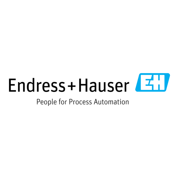 Endress+Hauser Logo PNG Vector