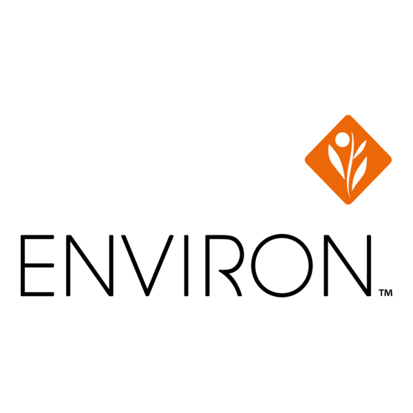 Environ Logo PNG Vector