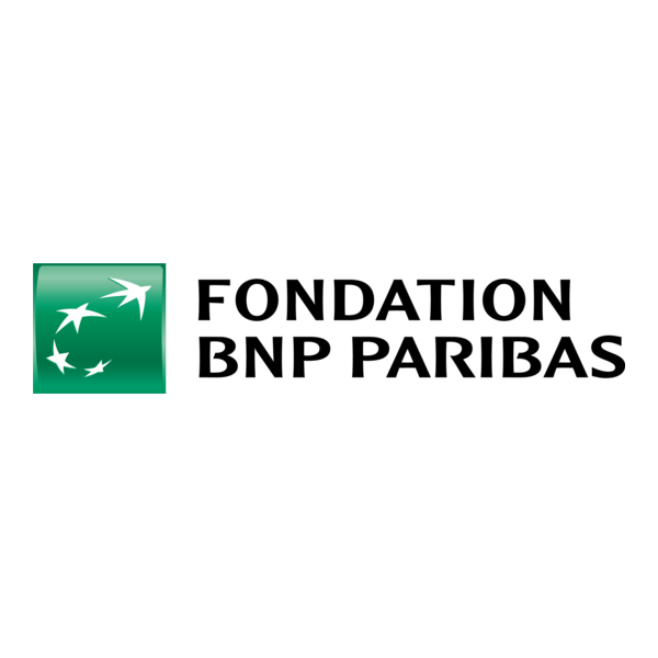 Fondation BNP Paribas Logo PNG Vector