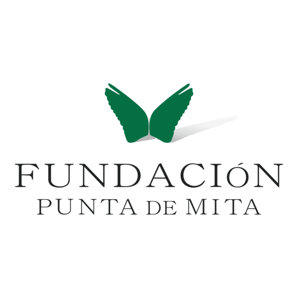 Fundación Punta de Mita Logo PNG Vector