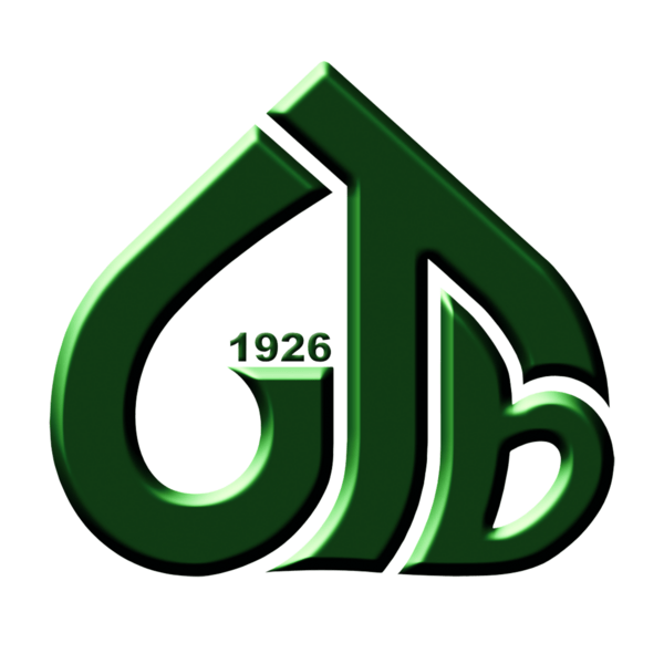 Giresun Ticaret Borsası Logo PNG Vector