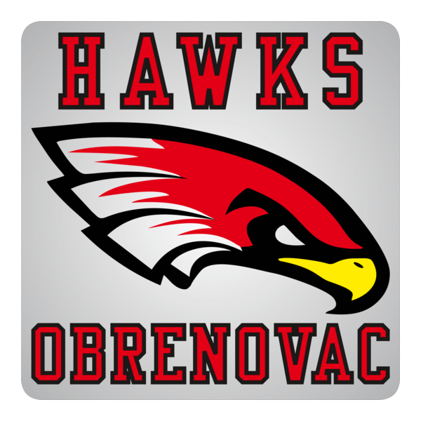 Hawks Obrenovac Logo PNG Vector
