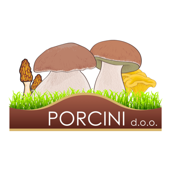 Porcini doo Logo PNG Vector
