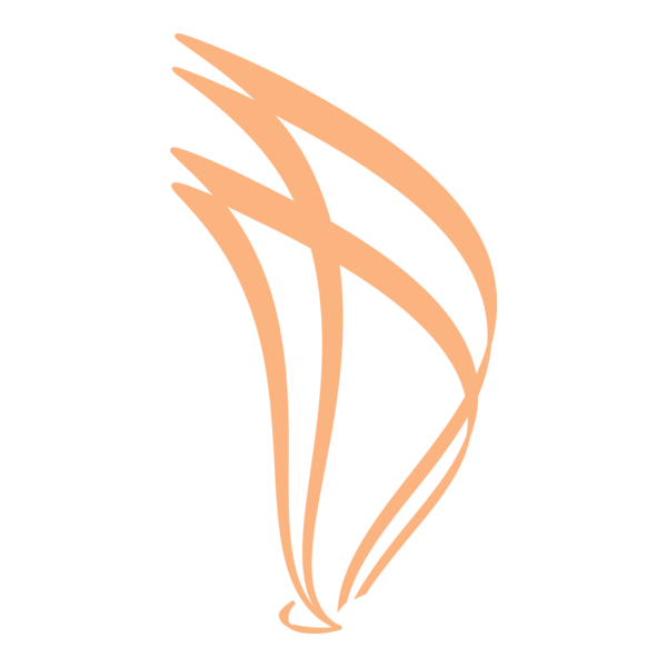 SAILING CUSTOM DESIGN Logo PNG Vector