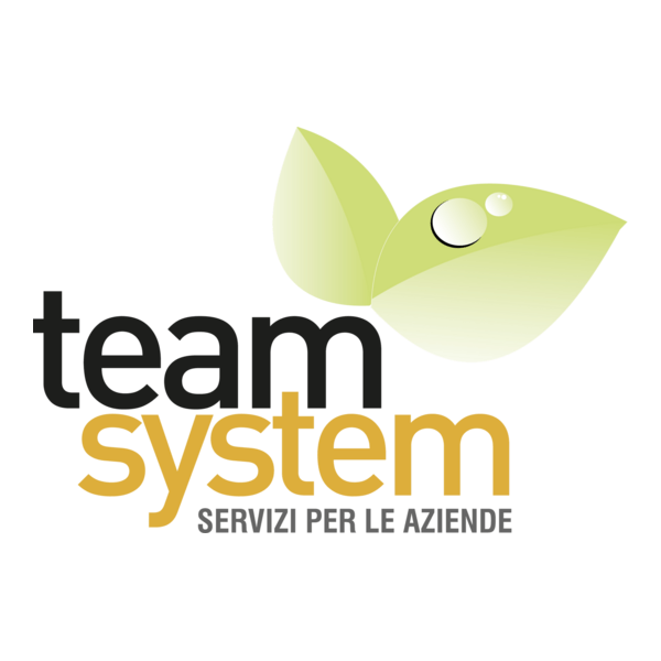 Team System servizi per le imprese Logo PNG Vector