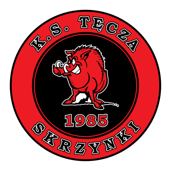 Tecza Skrzynki Logo PNG Vector