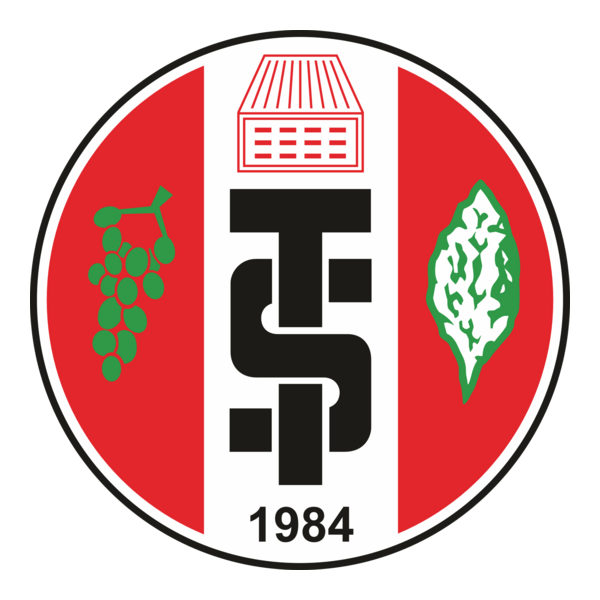 Turgutluspor K Logo PNG Vector