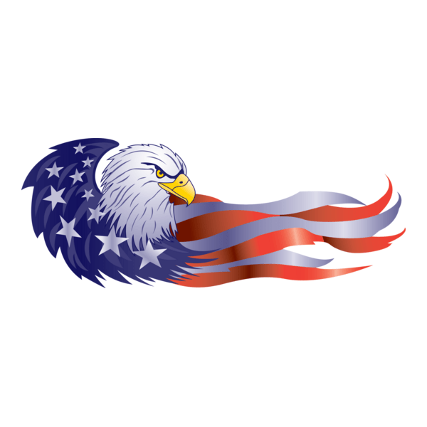 USA Logo PNG Vector