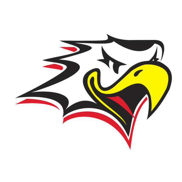 Vaasan Sport Logo PNG Vector