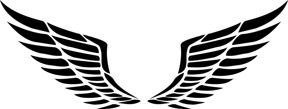 WINGS OBJECT Logo PNG Vector