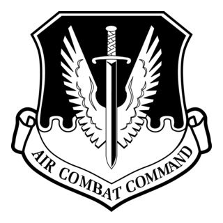 AIR COMBAT COMMAND EMBLEM Logo PNG Vector
