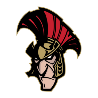 Binghamton Senators Logo PNG Vector