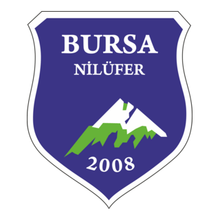 Bursa Nilüferspor A.Ş. Logo PNG Vector