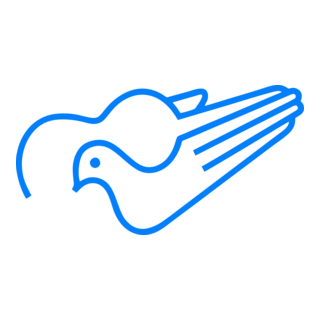 Canção Nova Logo PNG Vector