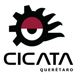 Cicata Logo PNG Vector