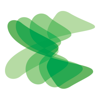 COMPANY Logo PNG Vector