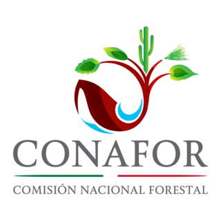 CONAFOR Logo PNG Vector