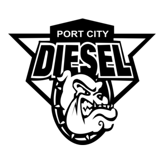 DIESEL Logo PNG Vector