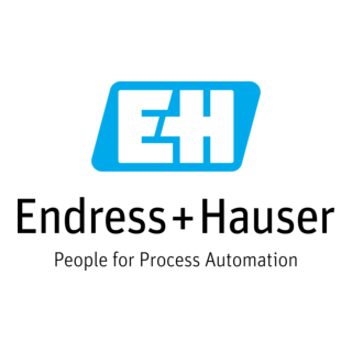 Endress + Hauser Logo PNG Vector
