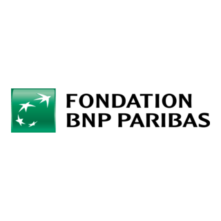 Fondation BNP Paribas Logo PNG Vector