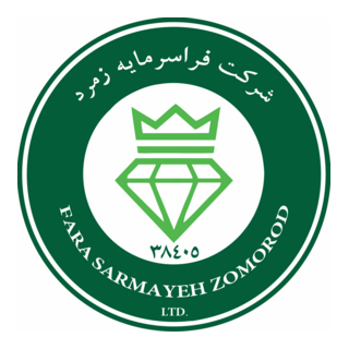 FSZ co. Logo PNG Vector