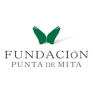 Fundación Punta de Mita Logo PNG Vector