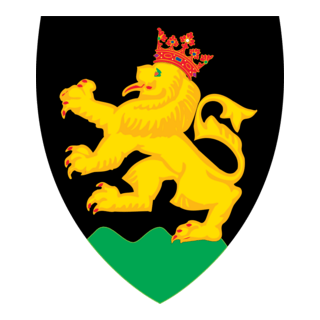 HEIDELBERG CITY CREST Logo PNG Vector