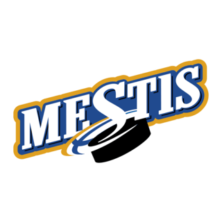 Mestis Logo PNG Vector