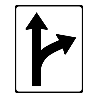 ONLY DESIGNATED DIRECTIONS PERMITTED Logo PNG Vector