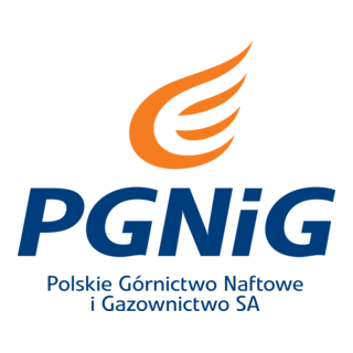 Pdnig S.A. Logo PNG Vector