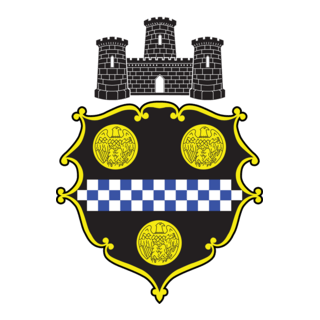 PITTSBURGH COAT OF ARMS Logo PNG Vector