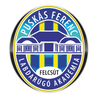 Puskás Akadémia FC Logo PNG Vector
