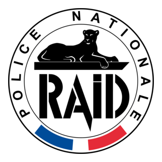 R.A.I.D. Logo PNG Vector